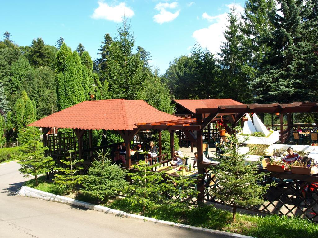 Hotel Bucegi Portile Regatului Paraul Rece Extérieur photo